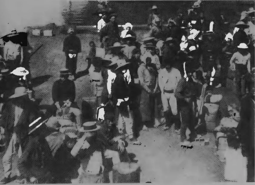 Arrival of Japanese immigrants in Hawaii
