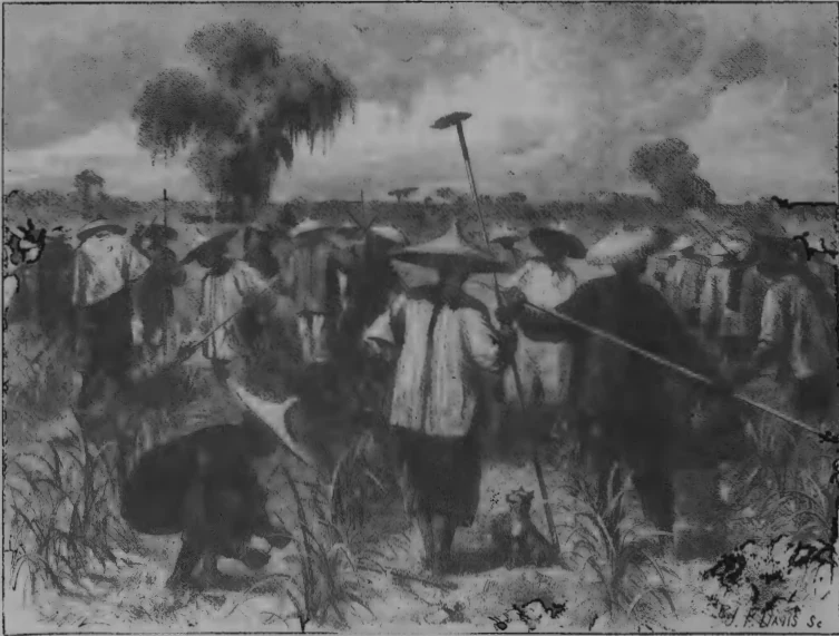 Chinese Cheap Labor in Louisiana, 1871