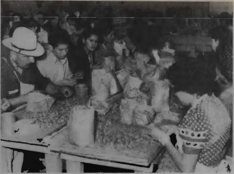 Chicano laborers shelling pecans in San Antonio, Texas, 1930s