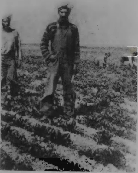 Sikh farmworkers in California, 1912